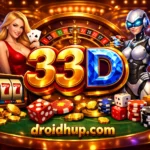 33D