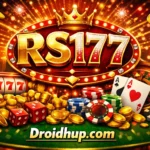 RS177