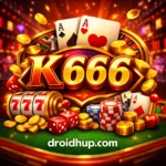 K666